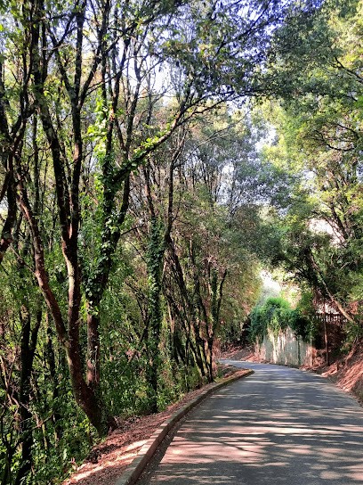 FORZA NETTOYAGE DEBROUSAILLAGE, Service de Nettoyage à Afa