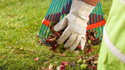MDV Multiservices, Service de Nettoyage à Divonne-les-Bains