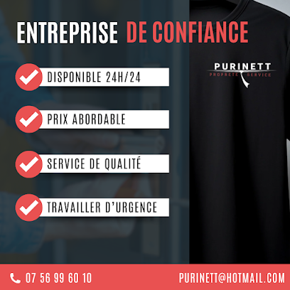 Purinett, Service De Nettoyage à Toulouse
