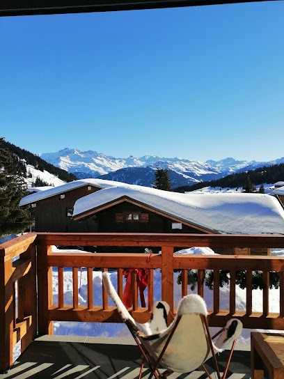 CHRONO NETTOYAGE, Service de Nettoyage à Albertville