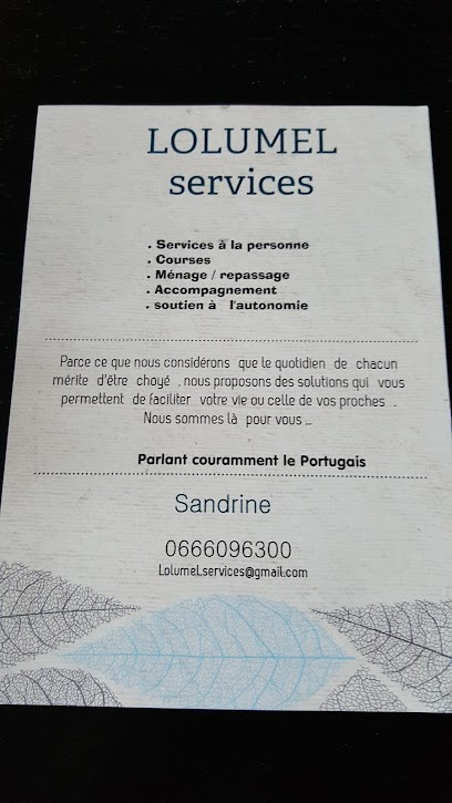 Lolumel Services, Service de Nettoyage à Mitry-Mory