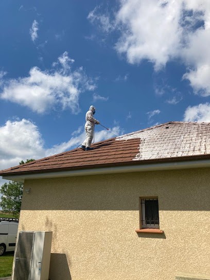 Démoussage toiture traitement façade - Hémadou Guillaume, Service de Nettoyage à Tarbes