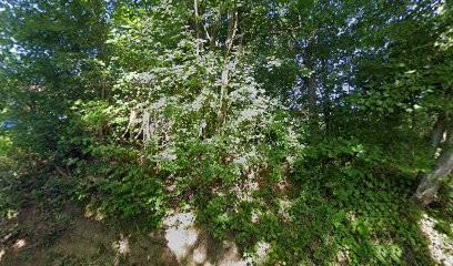 Equismart, Service de Nettoyage à Valencin