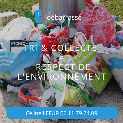 C'débarrassé - Entreprise De Débarras - Particuliers Et Professionnels - Lyon & Rhône-Alpes, Service De Ménage à Villeurbanne