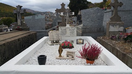 La colombe, Service de Nettoyage à La Grand-Combe