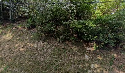 Vision Pro Services, Service de Nettoyage au Val-d'Ajol