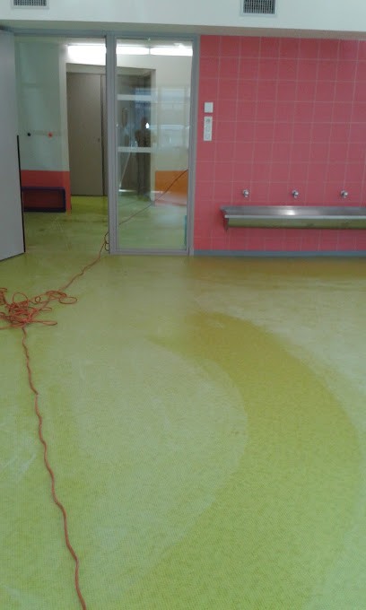 Aladin, Service de Nettoyage à Aiguefonde