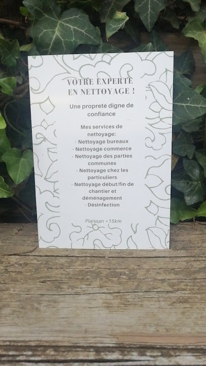 JJ nettoyage, Service de Nettoyage à Plaissan