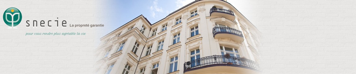 Société de nettoyage et propreté : SNECIE, Service de Nettoyage à Savigny-sur-Orge