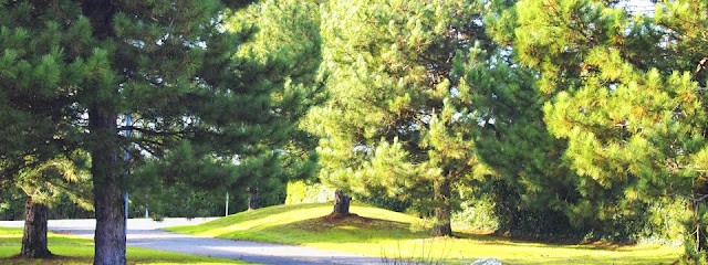 GAUTHIER MULTI SERVICES, Service de Nettoyage à Guérande