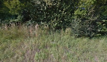 BATINETT, Service de Nettoyage à La Balme-de-Thuy