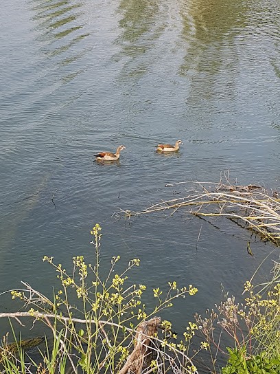 PRO NET AZUR 06, Service de Nettoyage à Mandelieu-la-Napoule