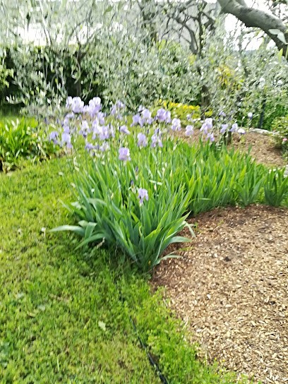 Entreprise Zanotti, Service de Nettoyage à Colomars