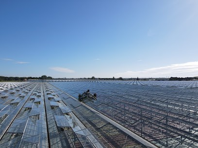 Hortinet, Service de Nettoyage à Béhuard