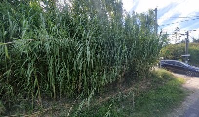 Sud Nettoyage, Service de Nettoyage à Miramas