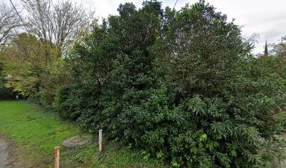 Palm Service, Service de Nettoyage à Montélimar