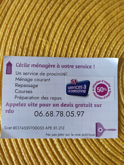 Cécile Ménagère À Votre Service !, Service De Ménage à Caen