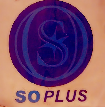 Soplus Service De Nettoyage à Gréolières