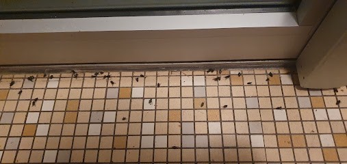 ALTALYS PROPRETÉ OUEST, Service de Nettoyage à Orvault