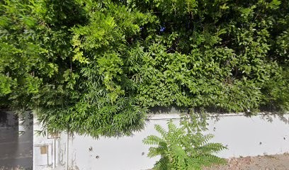 Cleantika Nettoyage, Service de Nettoyage à Alès