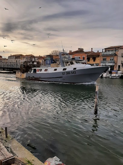 ATALIAN PROPRETE MONTPELLIER, Service de Nettoyage à Lunel-Viel