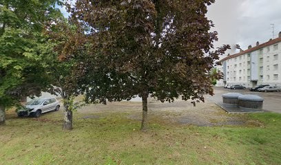 Roz julien, Service de Nettoyage à Damparis