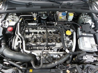 Cryorhin, Service de Nettoyage à Cernay