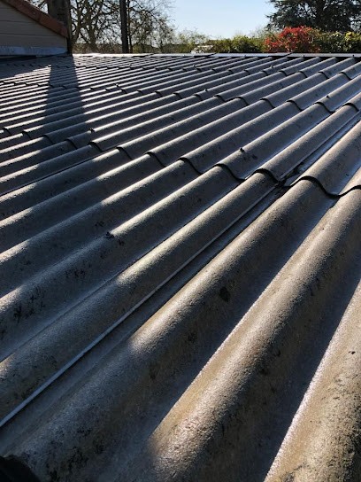 Démoussage & hydrofuge, Service de Nettoyage à Cissé