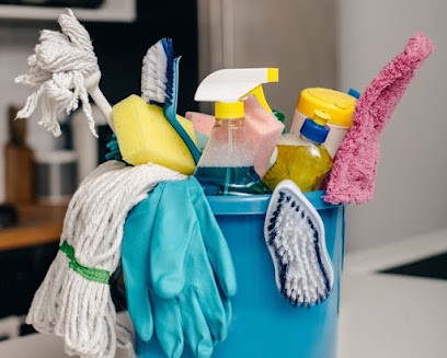 NET CLEAN 01, Service de Nettoyage à Saint-Genis-Pouilly