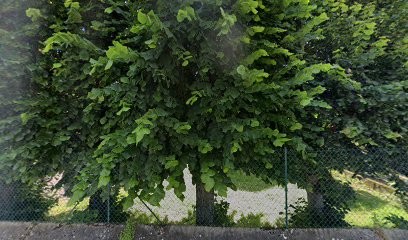 Bernard Baumont Nettoyage, Service de Nettoyage à Écharcon