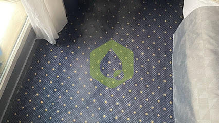 Dnv Clean, Nettoyage Moquette & Canapé À Paris | Solutions Écologiques, Service De Nettoyage à Paris 13