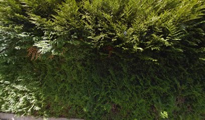 AB Multi, Service de Nettoyage à Thann