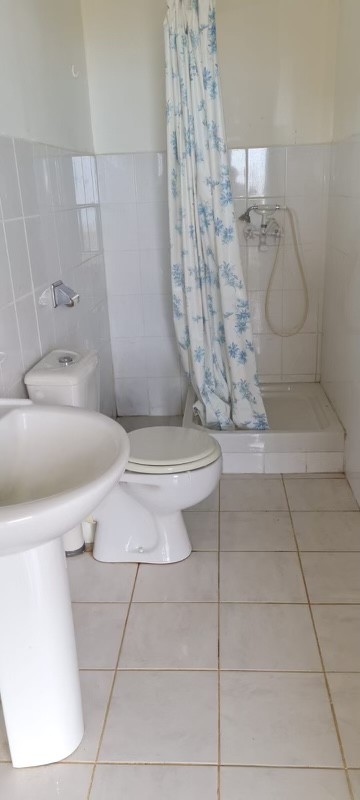 Corsica Débarras, Service de Nettoyage à Aléria