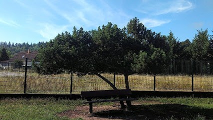 David Stéphane, Service de Nettoyage aux Forges