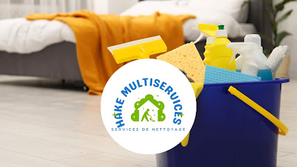 Hake Multiservices, Service De Nettoyage à Vincennes