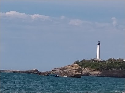 NS SERVICES SOLUTIONS, Service de Nettoyage à Anglet