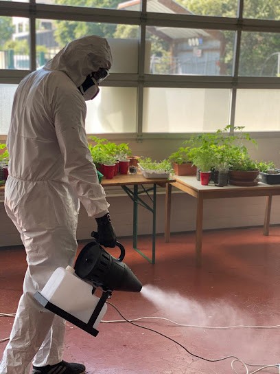 Green+ France, Service de Nettoyage à Sarcelles