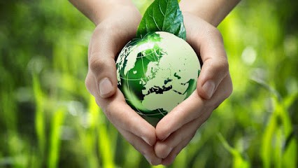 Masyl Econettoyage, Service de Nettoyage à La Chapelle-d'Armentières