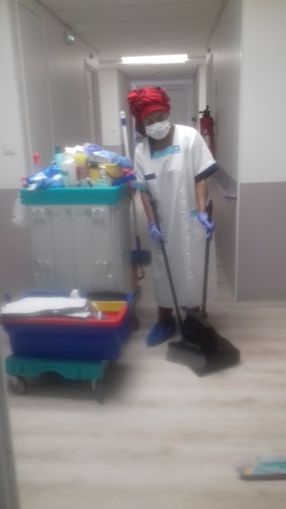 ENTREPRISE DE SERVICE ANNETTE ET MARC ( EDSAEM ), Service de Nettoyage à Ris-Orangis