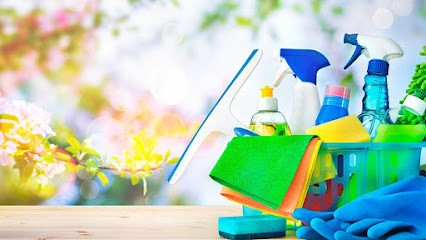 MAJORD'HOME.COM, Service de Nettoyage à Cournon-d'Auvergne
