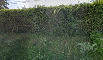 MSK Multiservices, Service de Nettoyage à Blandin