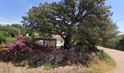 L' As Du Propre, Service de Nettoyage à Porto-Vecchio