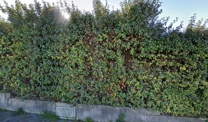 Mathieu, Service de Nettoyage aux Pennes-Mirabeau
