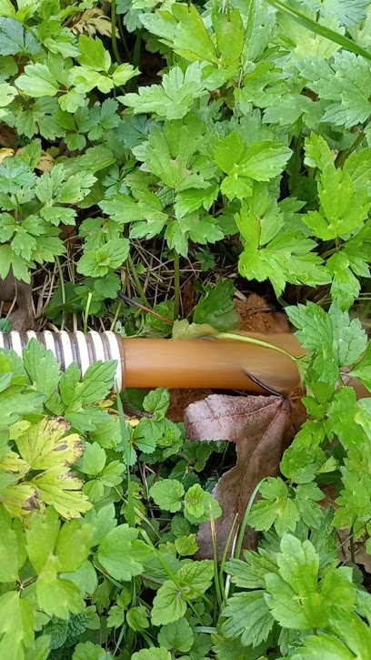 JC Puisatier, Service de Nettoyage à Ygos-Saint-Saturnin