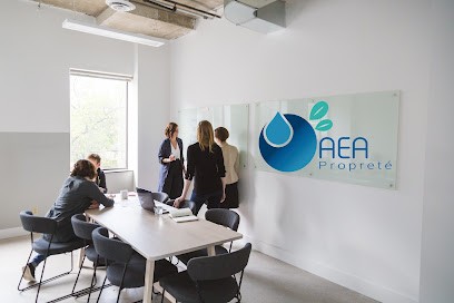 AEA Propreté, Service de Nettoyage à Fontaines-sur-Saône