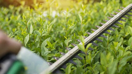 GREEN CLEAN GARDEN, Service de Nettoyage à La Grande-Motte