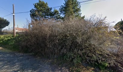 Nunes Nettoyages., Service de Nettoyage à Gerzat