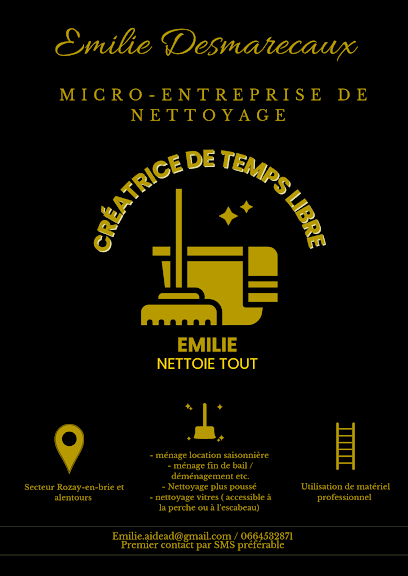 Emilie Nettoie Tout, Service De Nettoyage à Bernay-Vilbert