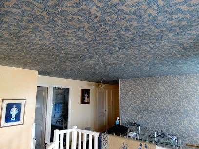 Nettoyage Plafond tendu pvc, tissus, lames alu, grand est,franche conte,france, Service de Nettoyage à Sausheim