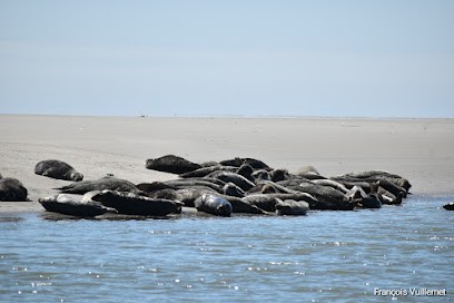 Baie des Phoques, Service de Nettoyage à Berck